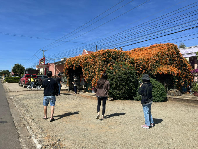 Rất nhiều bạn trẻ ghé lại chiêm ngưỡng tiệm tạp hóa xác pháo và chọn cho mình vài tấm ảnh cùng sắc hoa tượng trưng cho sự may mắn này