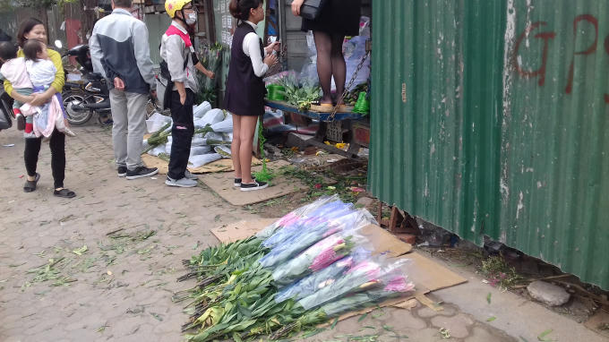 Những bó hoa ly vứt vạ dưới nền đất.