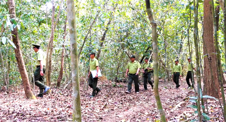 Lực lượng kiểm lâm Khu bảo tồn thiên nhiên - văn hoá Đồng Nai tuần tra giữ rừng trong những ngày giáp Tết
