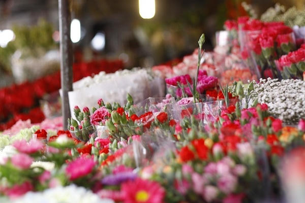 Hà Nội: Rực rỡ sắc hoa chào mừng ngày 8/3