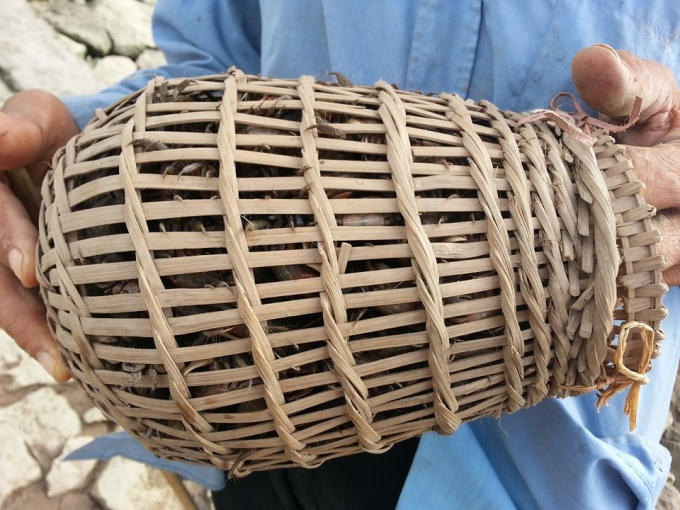 Chiếc  giỏ đã đầy ắp cáy.
