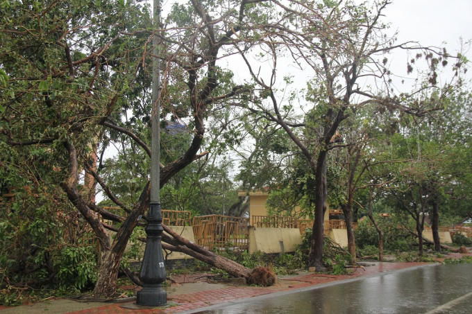 Cảnh hoang tàn trước bảo tàng tổng hợp Quảng Bình.