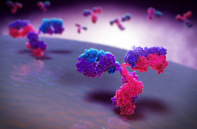 Các nhà nghiên cứu đã tìm thấy loại protein giúp ngăn ngừa, đẩy lùi bệnh tiểu đường