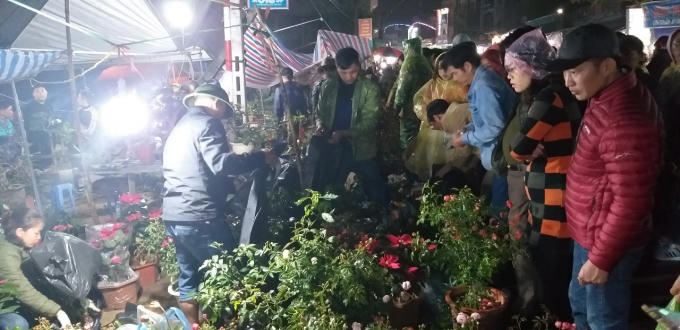 Khu vực bán cây cảnh được nhiều du khách ghé thăm nhiều nhất.