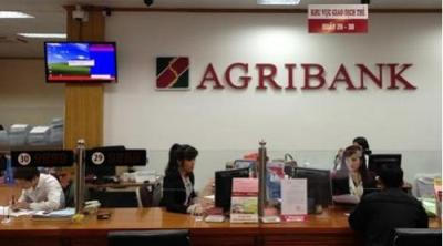Agribank phát triển cung ứng nhiều SPDV về vay tiêu dùng, vay tín chấp... phục vụ nhu cầu giao dịch thanh toán của đông đảo người dân