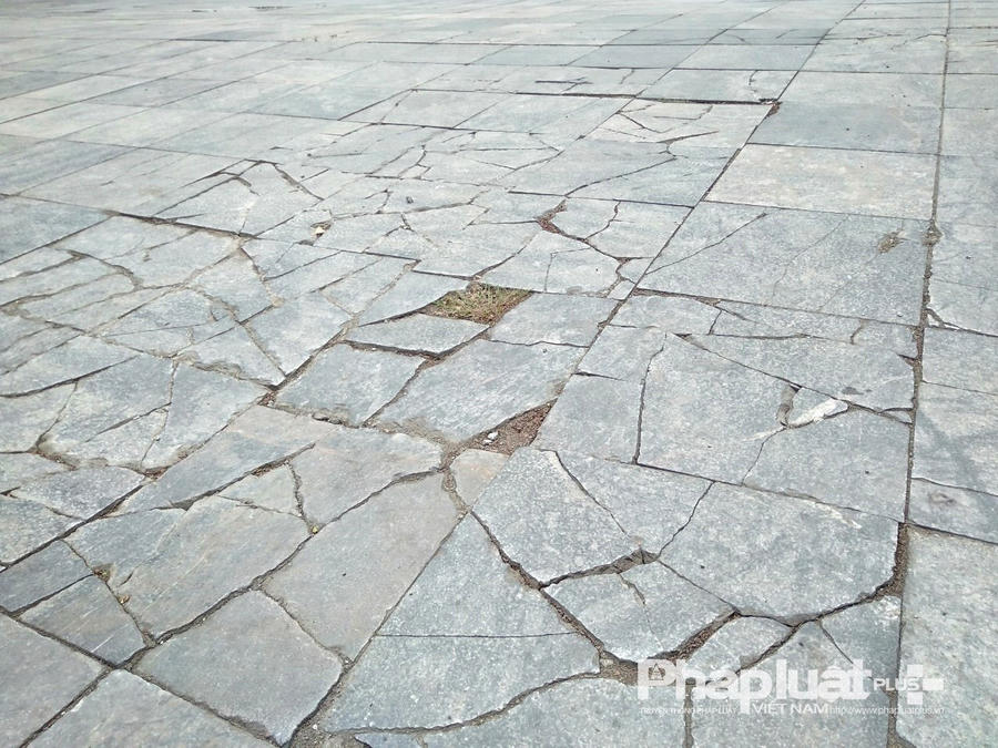 ec5259129ae443ba1af519