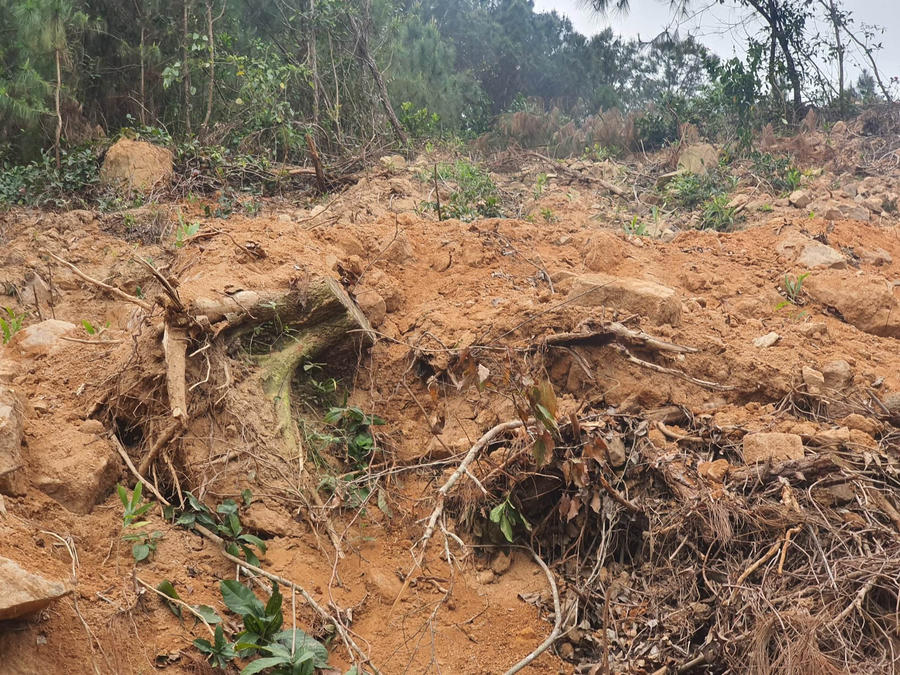 332320389_1315607849039617_4399707190843004034_n