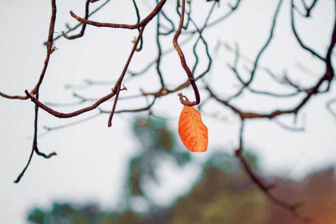 Khoảnh khắc thu Hà Nội