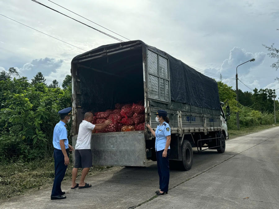 Lực lượng Đội QLTT số 1 khám phương tiện vận chuyển 9.100 kg ngao không rõ nguồn gốc, xuất xứ.