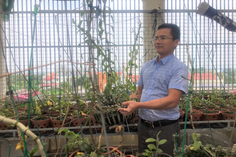 Những cây lan đột biến từng được trả giá nhiều tỷ đồng giờ bán không ai mua (Ảnh: Thái Bá).