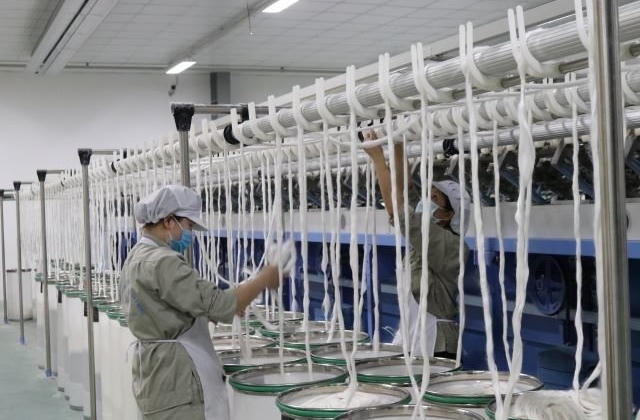 Vi phạm kê khai vốn điều lệ Công ty CP Tập đoàn bất động sản Vạn Xuân bị xử phạt