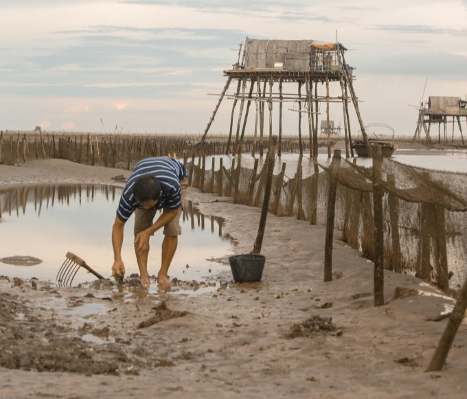 Sửng sốt vẻ đẹp b&atilde;i ngao cửa Nẹ