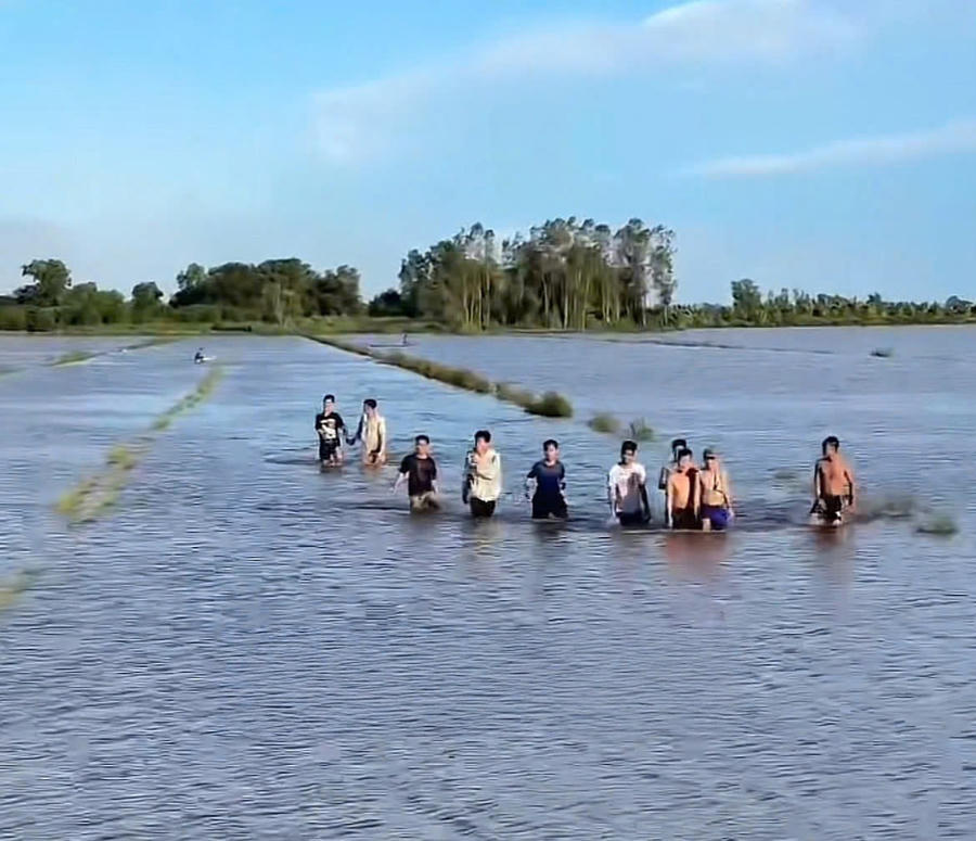 Các học viện trốn trại được đưa về