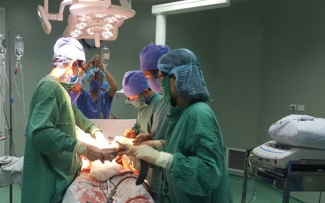 Một người tử vong vì bị trâu húc thủng bụng, gãy xương sườn