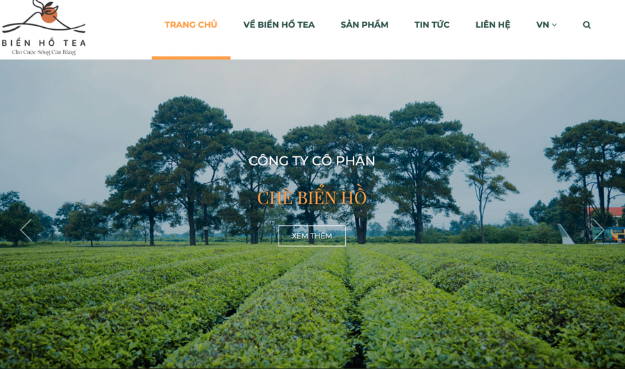 Công ty cổ phần chè Biển Hồ giải trình việc cổ phiếu đưa vào diện cảnh báo.