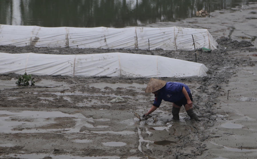 10 ngày sau vụ Đồng Tâm, cuộc sống thôn Hoành bây giờ ra sao? - 10