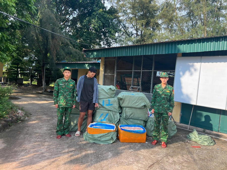BĐBP ĐồnTrà Cổ Quảng Ninh bắt giữ vụ nhập lậu nội tạng đông lạnh trái phép ngày 7/9.