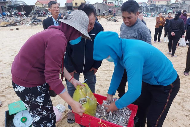 Nghề đi lộng chỉ mất thời gian ngắn, chi phí xăng dầu, nhu yếu phẩm thấp nhưng thu hoạch từ các loại cá cũng khá cao nên ngư dân rất vui.