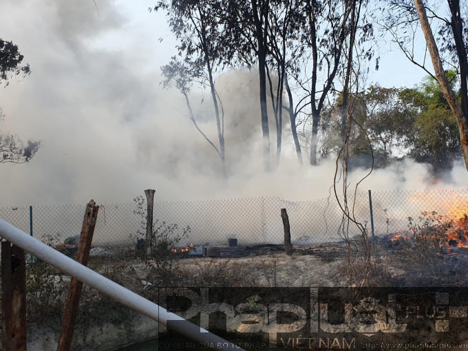 78fc87cfdf9827c67e89