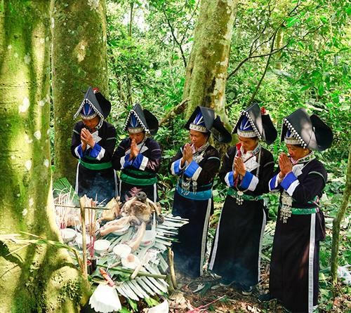 Nghi lễ cúng rừng của người Pa Dí được công nhận là Di sản văn hóa phi vật thể quốc gia. Ảnh: Báo Lào Cai
