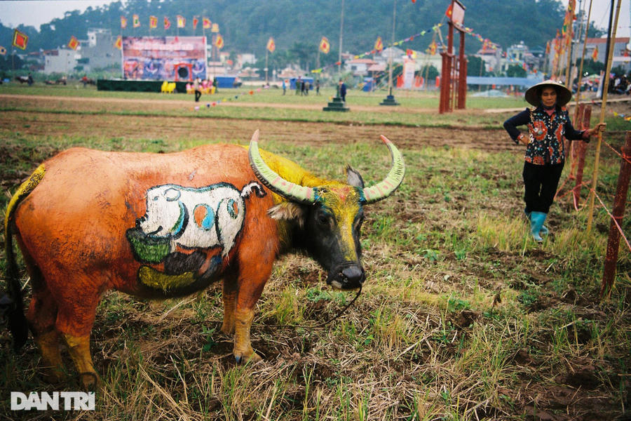 Ở các năm trước đó, vào ngày mùng 6 tháng Giêng, Hội thi vẽ trang trí trâu quy tụ hàng chục họa sĩ từ các địa phương như Hà Nội, Hà Nam, Hưng Yên, Ninh Bình, Thái Bình... sẽ khoác lên mình các chú trâu trong làng Đọi Sơn những bức tranh dân gian truyền thống với gam màu tươi sáng về chủ đề mùa xuân và nông nghiệp.