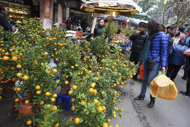 Từ nhiều năm nay, chợ hoa Hàng Lược chỉ tập trung bán các loại đào quất có độ lớn vừa phải theo nhu cầu của người mua. Rất nhiều người dân đi chợ hoa không chỉ để mua hoa mà còn để nhấm nháp hương vị Tết Nguyên đán đặc biệt ở phố cổ Hà Nội.