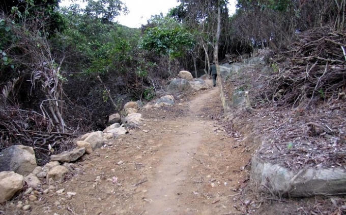Con đường dân tự phát làm dẫn vào khu vực phá rừng.