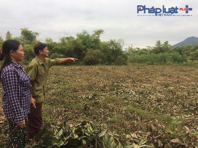 Ông Định Công Lượng cho biết, địa điểm mà xã Xuân Viên chọn làm nơi xây dựng bãi xử lý, chôn lấp rác thải chỉ cách trường mầm non 150m.