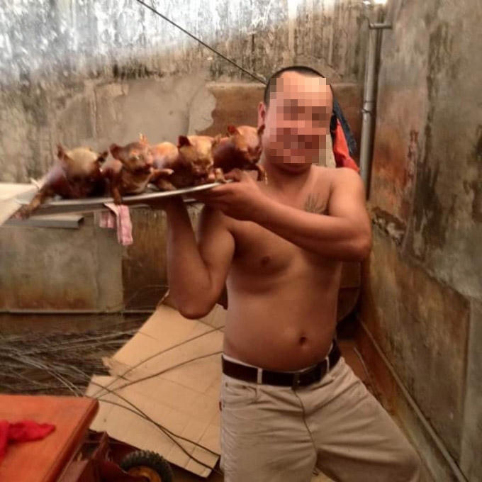 Các chú mèo qua quá trình sơ chế biến.