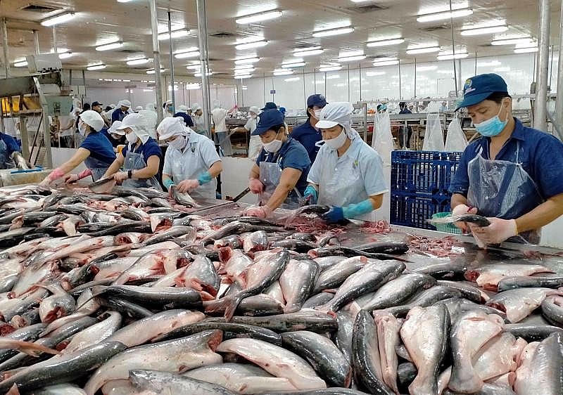 Các sản phẩm cá tra GTGT đạt 27 triệu USD trong 8 tháng đầu năm 2024. Ảnh: vneconomy.vn