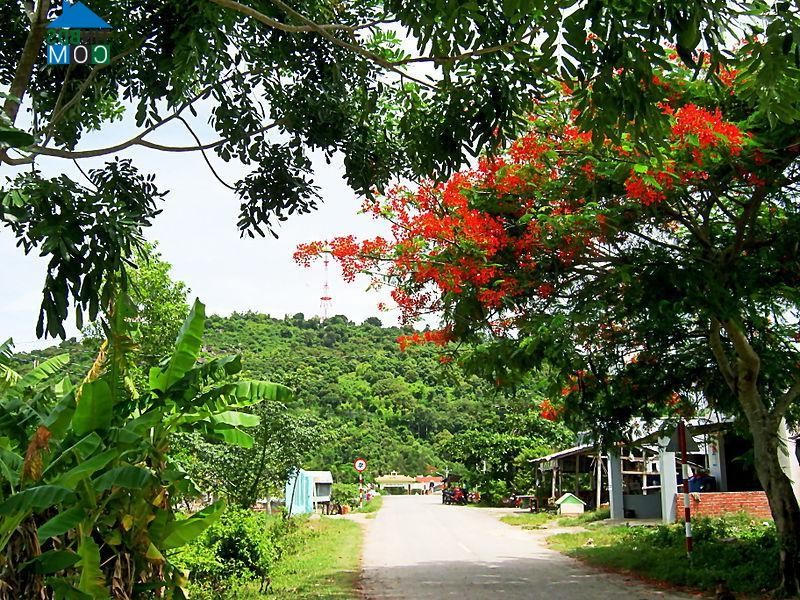 Đường vào xã Thổ Sơn thuộc huyện Hòn Đất, tỉnh Kiên Giang.