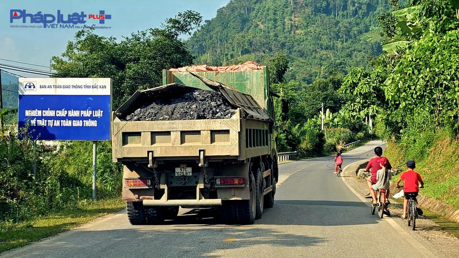 z4762970972572_c3ffbe39f919d7f2e8b94df439234440-2222