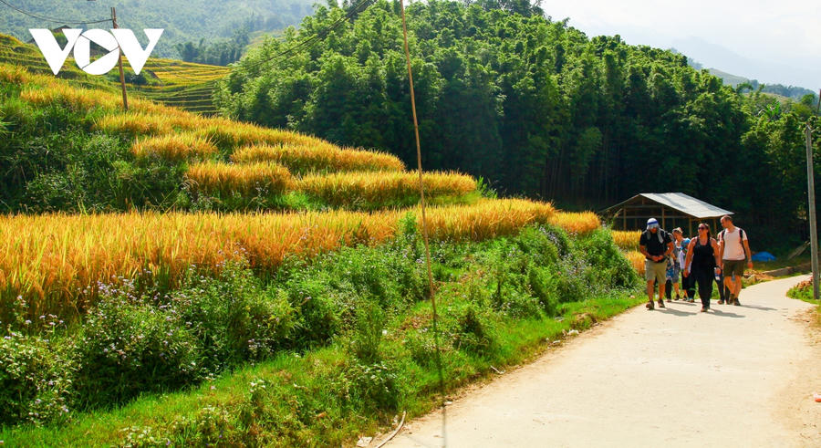 Sa Pa (Lào Cai) là điểm đến yêu thích của du khách quốc tế.