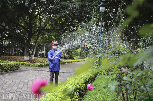 500 goc gong co bung no, khoe sac tai hoang thanh thang long hinh anh 5