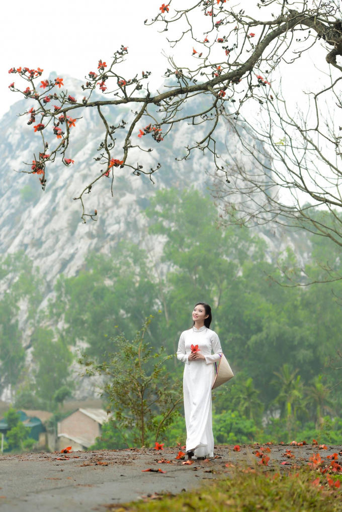Từng chút...từng chút. Hoa gạo như tạm biệt mùa cũ.