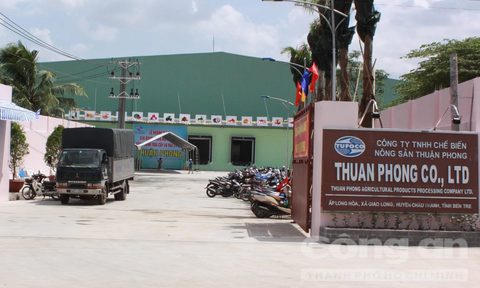 Nếu không được đồng thuận từ lãnh đạo tỉnh Tiền Giang, dự án nhà ở miễn phí cho hàng ngàn công nhân của doanh nghiệp Thuận Phong có nguy cơ bị vỡ.