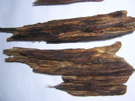 Giá trị tiền tỷ của trầm hương.