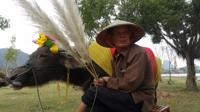 Dịch vụ cưỡi trâu chụp ảnh tại cố đô Hoa Lư (Ninh Bình)