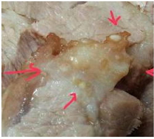 Những loại thực phẩm dù trót mua về cũng tuyệt đối 'cấm' sử dụng