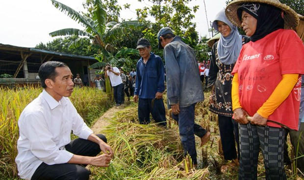 Tăng trưởng kinh tế của Indonesia vẫn dao động ở mức trên 5% và Tổng thống Joko Widodo (trái) đang rất lo lắng cho các mục tiêu kinh tế chủ yếu trong nhiệm kỳ của mình.