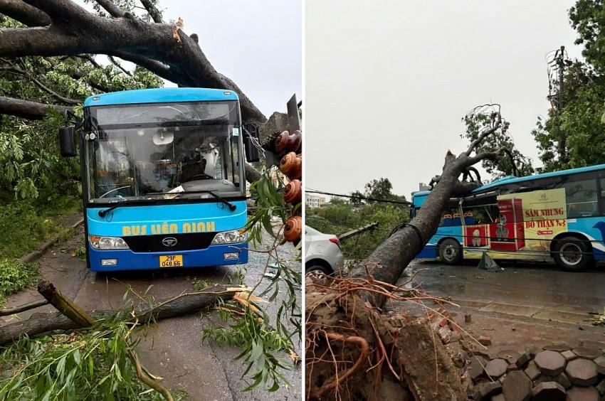Hiện trường cây đổ vào các phương tiện lưu thông.