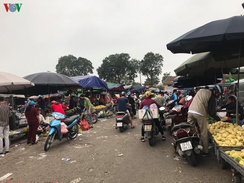 anh: nguoi ha noi binh tinh trong nhung ngay