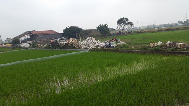 Xây dựng nhà trên đất nông nghiệp tại xã Trung Nguyên