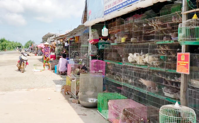 Khu chợ này hoạt động tự phát và rất gần hai khu Ramsar (vùng đất ngập nước được bảo tồn) Láng Sen và Tràm Chim.