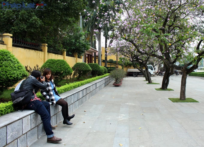 Giới trẻ tận dụng cơ hội này để lưu trữ những khoảnh khắc đẹp nhất trong năm của đất Hà Thành. (Ảnh: Đức Biên)