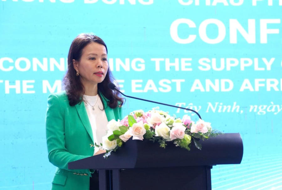 Thứ trưởng Bộ Ngoại giao Nguyễn Minh Hằng phát biểu tại hội nghị