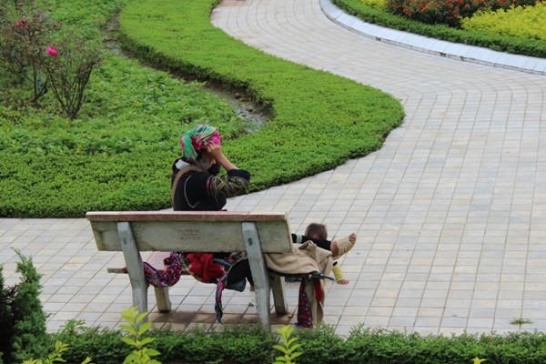 Ghế đá công viên là nơi dễ nhất để bắt gặp những hình ảnh như thế này.