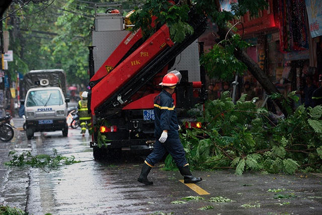 Hà Nội mưa liên tục sau bão, cây xanh gãy đổ ở nhiều nơi - 4