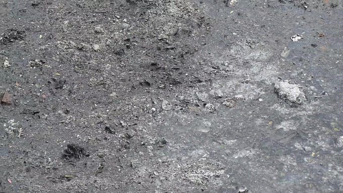 Mặt hồ bị tro phủ kín