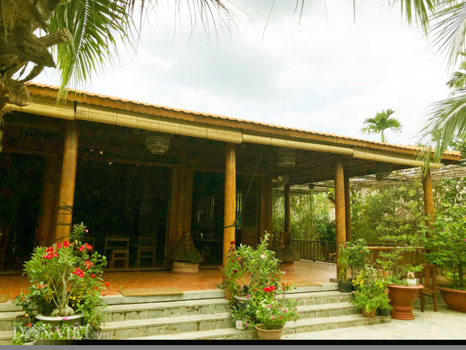 co gi ben trong ngoi nha 6 ty lam tu 4.000 cay dua o mien tay hinh anh 2